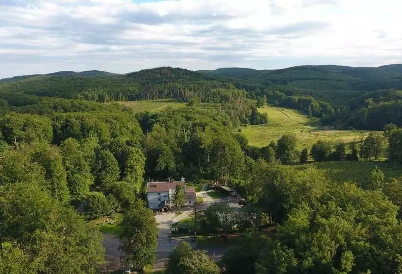 Aamiaismajoitus (B&B) Fehér Sas Panzió