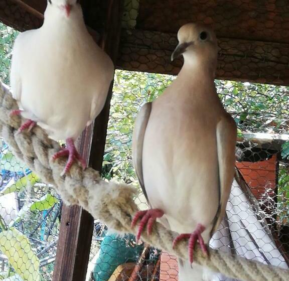 ベッドアンドブレックファースト Les Chambres D'helix