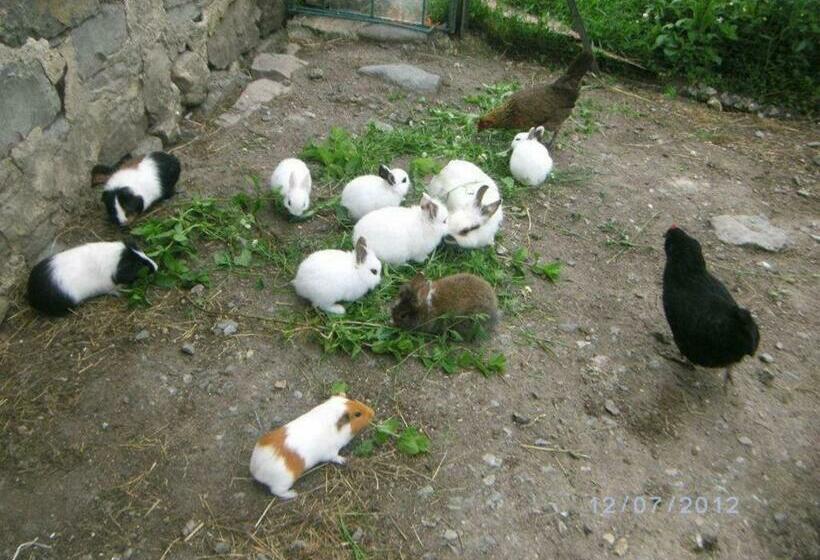 ベッドアンドブレックファースト Les Chambres D'helix