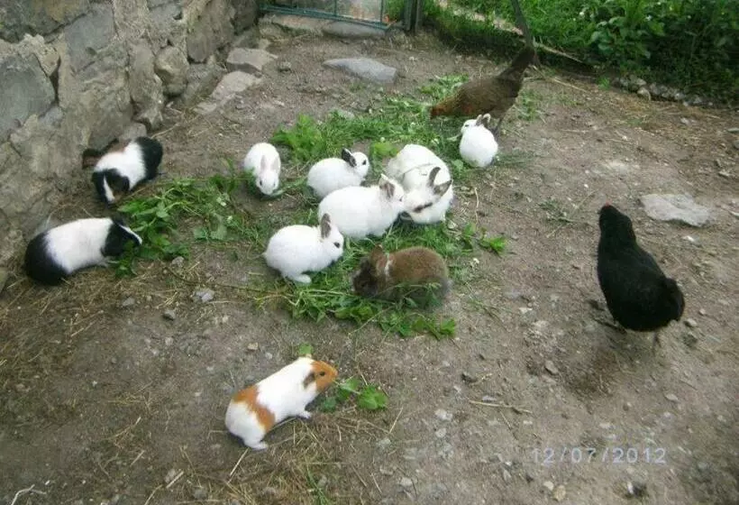 ベッドアンドブレックファースト Les Chambres D'helix