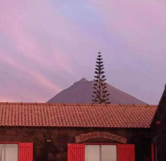 ベッドアンドブレックファースト Ocean Breeze