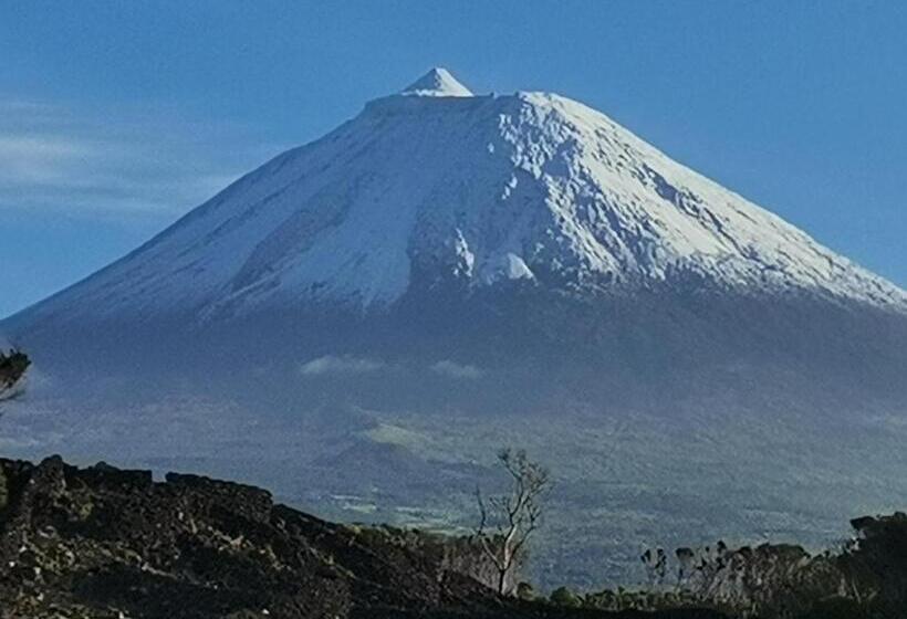 Bed and Breakfast Ocean Breeze