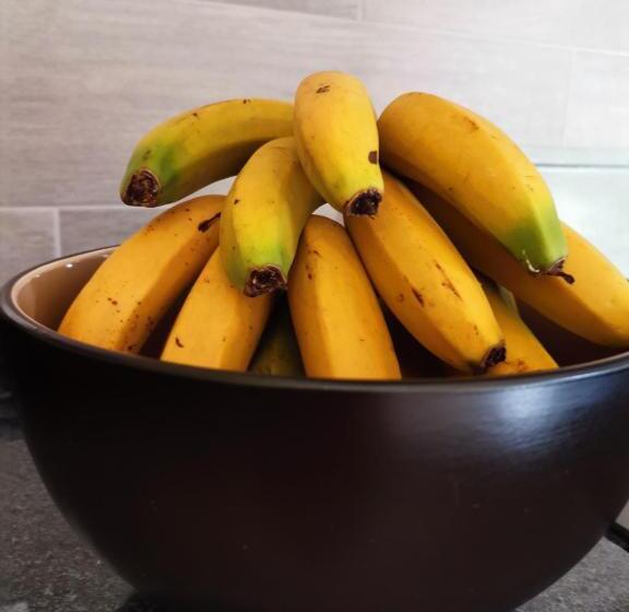 Bed and Breakfast Ocean Breeze