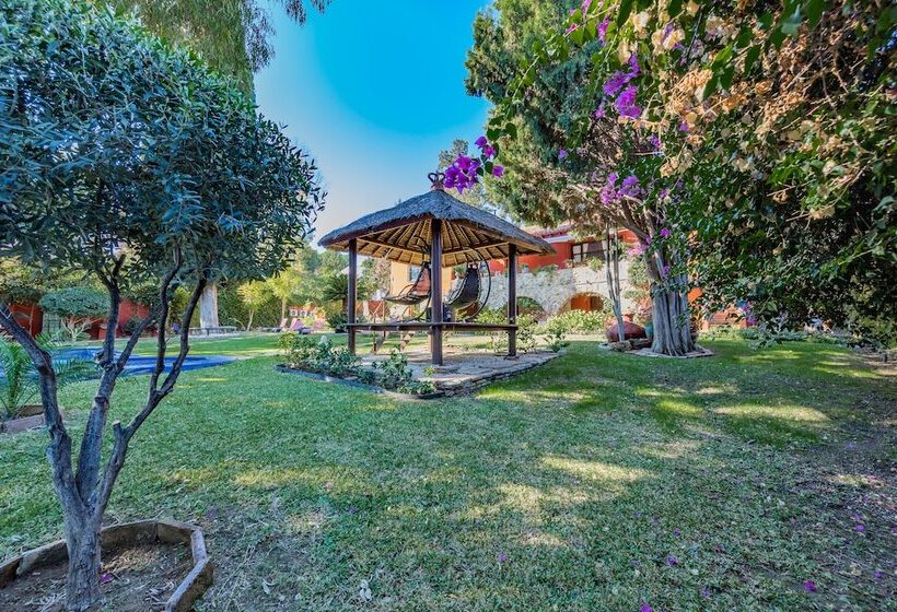 Casa Paraiso Boutique B&b