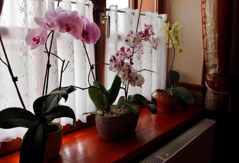 Határ Csárda Panzió