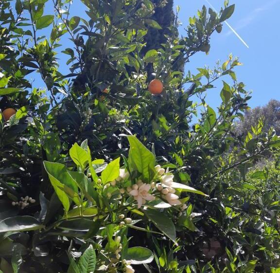 Отель Crapa Licca