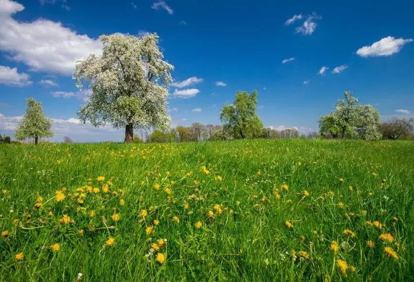 ホテル Landgasthof Seelust