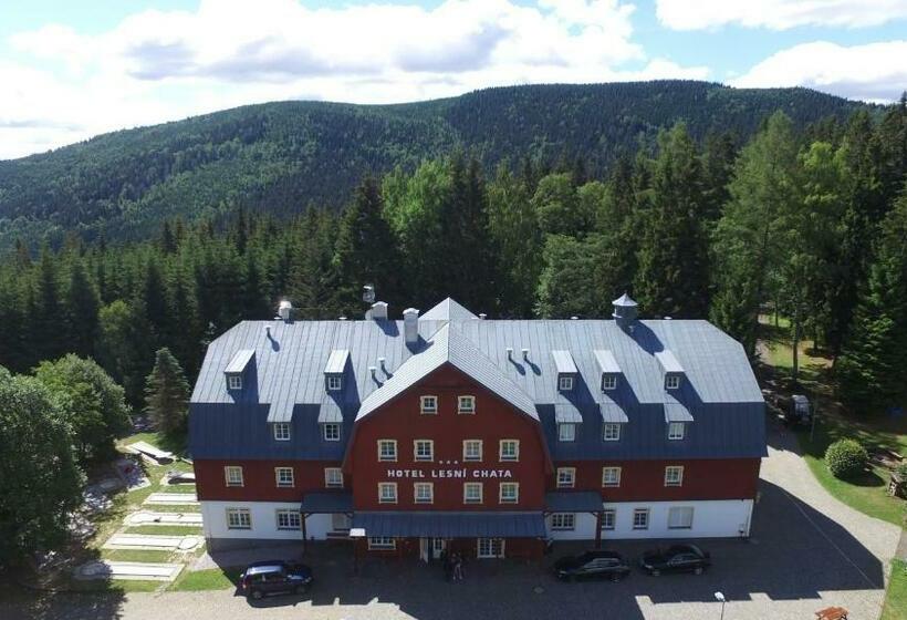 Hotelli Lesní Chata