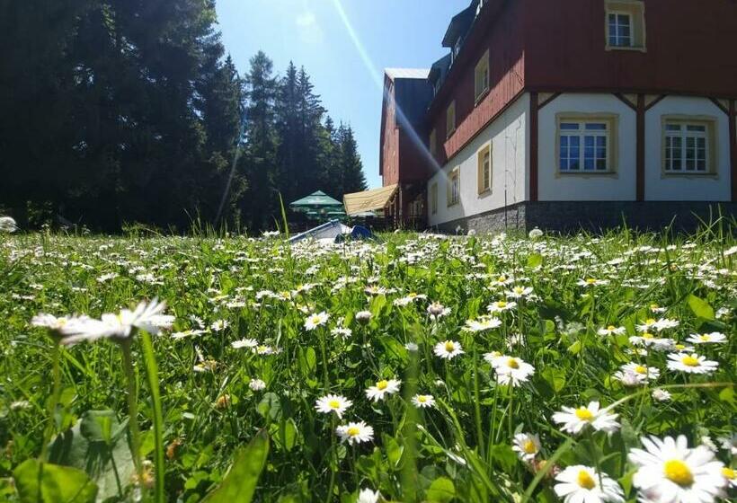 Hotelli Lesní Chata