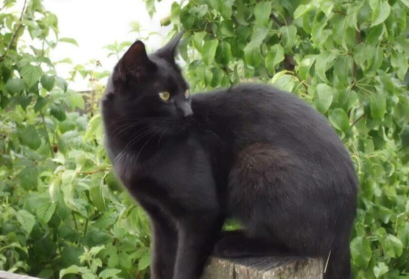 酒店 Oberkapillhof