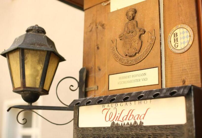 Hotel Waldgasthof Wildbad