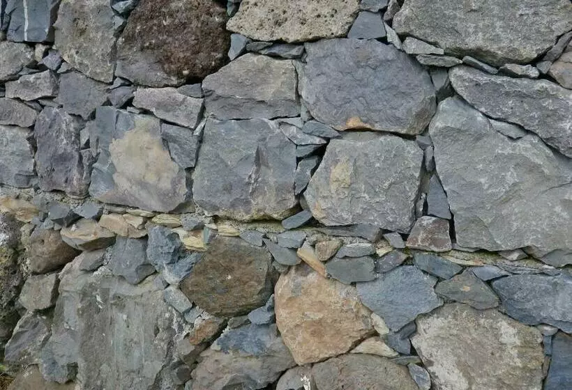 ペンション Alojamentos Flores Island