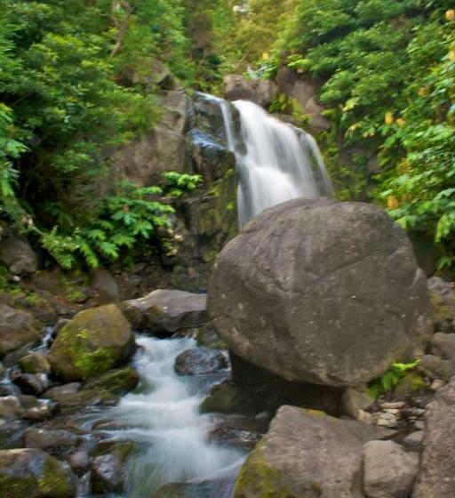 פנסיון Alojamentos Flores Island