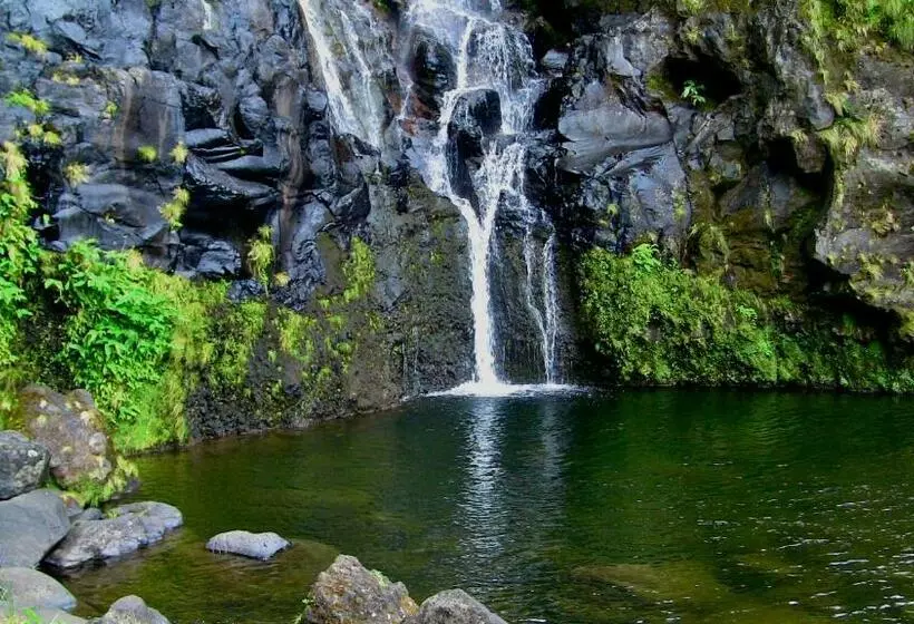 ペンション Alojamentos Flores Island