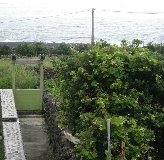 פנסיון Alojamentos Flores Island