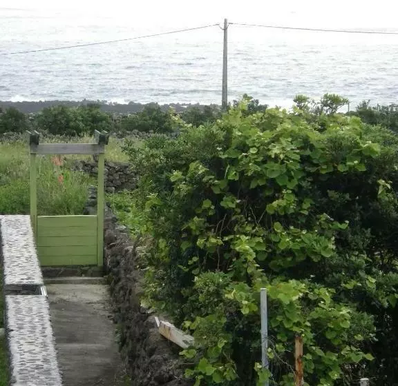 ペンション Alojamentos Flores Island