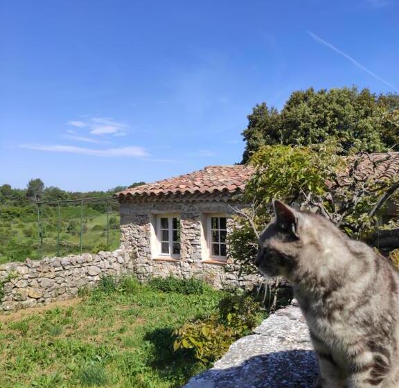 פנסיון Domaine De La Blaque   B&b