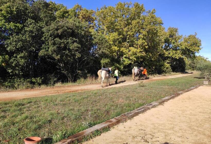 פנסיון Domaine De La Blaque   B&b