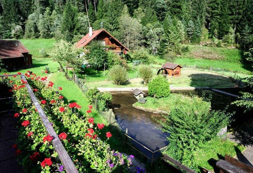 ペンション Jägerhof Kropfmühle