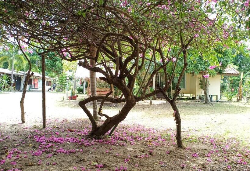 Pensão Wandee Resort Bankrut