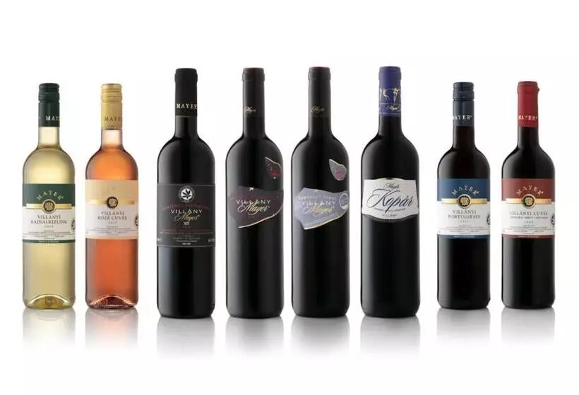 Aamiaismajoitus (B&B) Mayer Pince Panzió