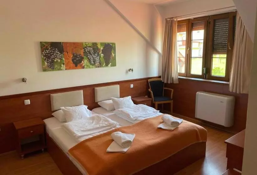 Aamiaismajoitus (B&B) Mayer Pince Panzió