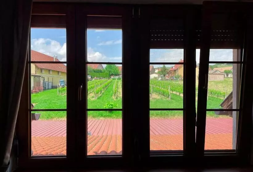 Aamiaismajoitus (B&B) Mayer Pince Panzió