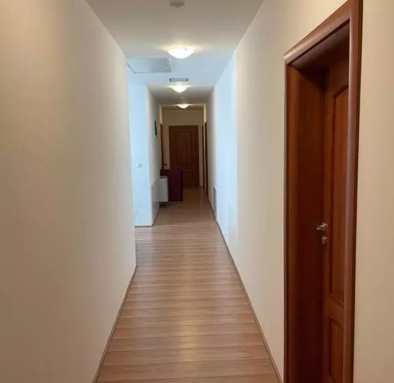 Aamiaismajoitus (B&B) Mayer Pince Panzió