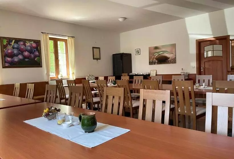 Aamiaismajoitus (B&B) Mayer Pince Panzió