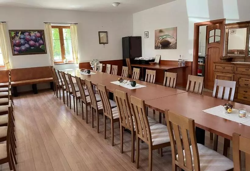 Aamiaismajoitus (B&B) Mayer Pince Panzió