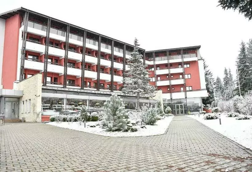 Hotelli Carpați