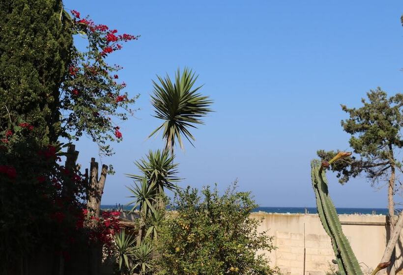 فندق Ben's House