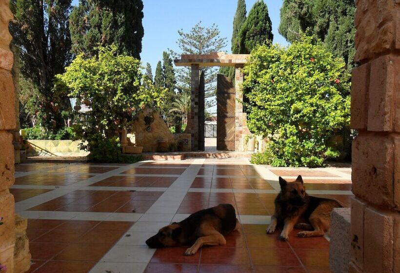 فندق Ben's House