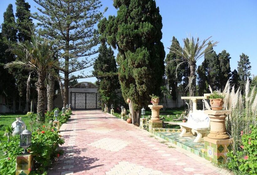 فندق Ben's House