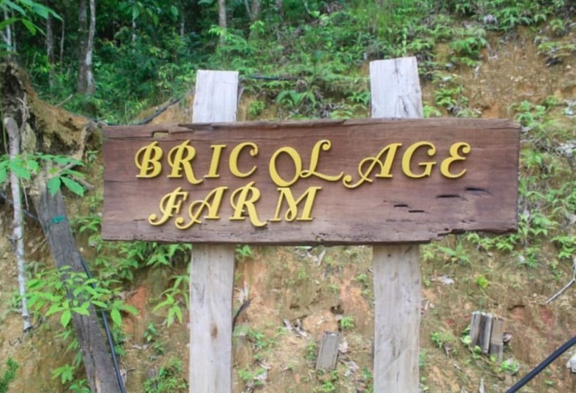 Pensjonat Bricolage Farm And Homestay