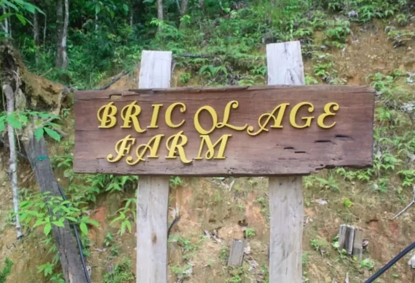 ペンション Bricolage Farm And Homestay