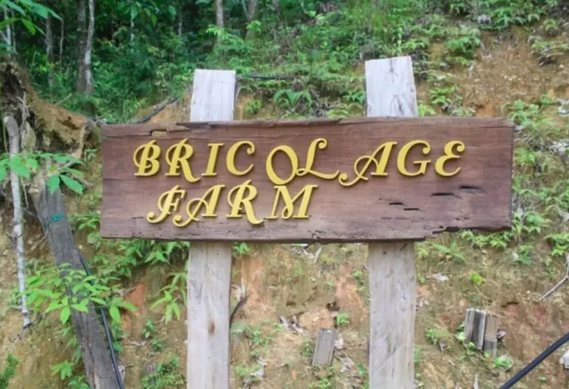 ペンション Bricolage Farm And Homestay