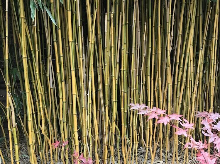 B&b Au Pain Quotidien