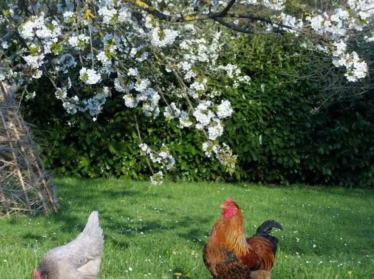 B&b Au Pain Quotidien