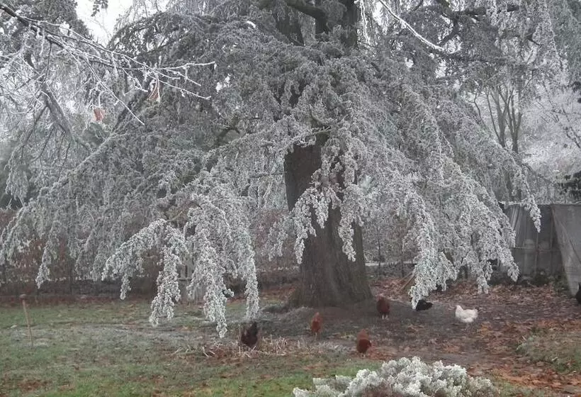 B&b Au Pain Quotidien