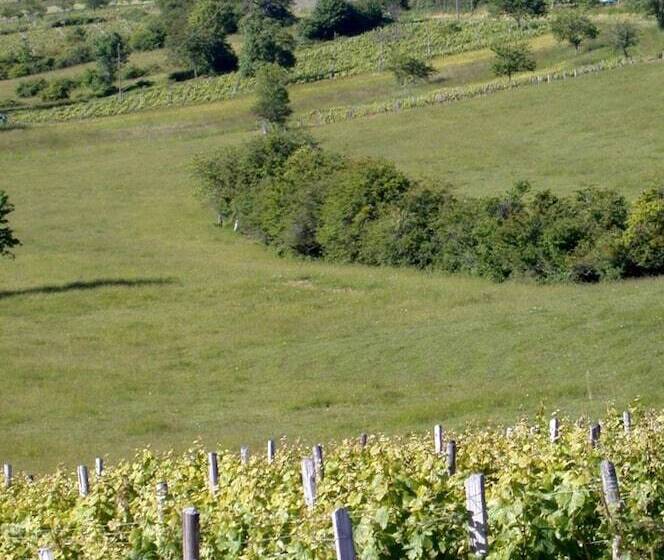 B&b Au Pain Quotidien