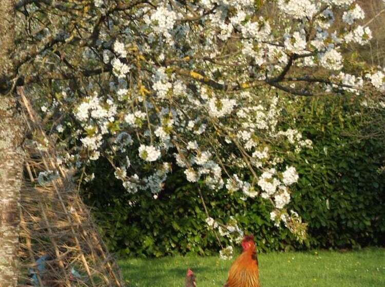 B&b Au Pain Quotidien