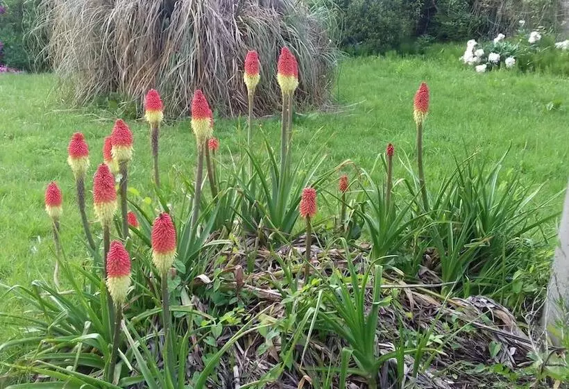 Aamiaismajoitus (B&B) La Maison Du Saussoy
