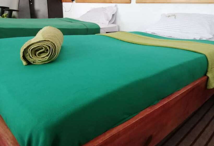 Foret De Vill   Hostel