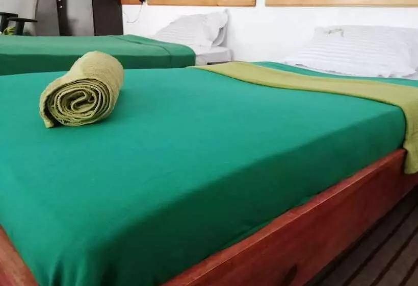 Foret De Vill   Hostel