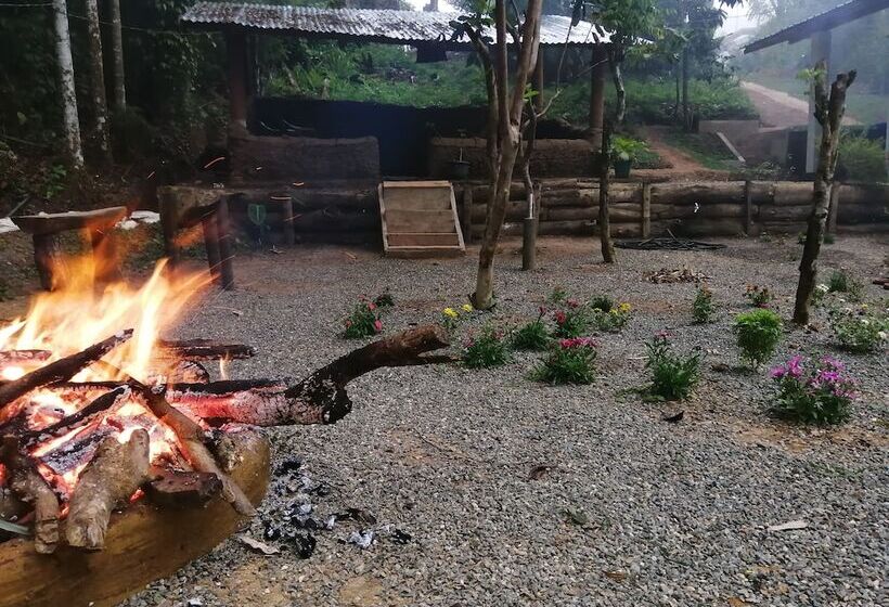 Foret De Vill   Hostel