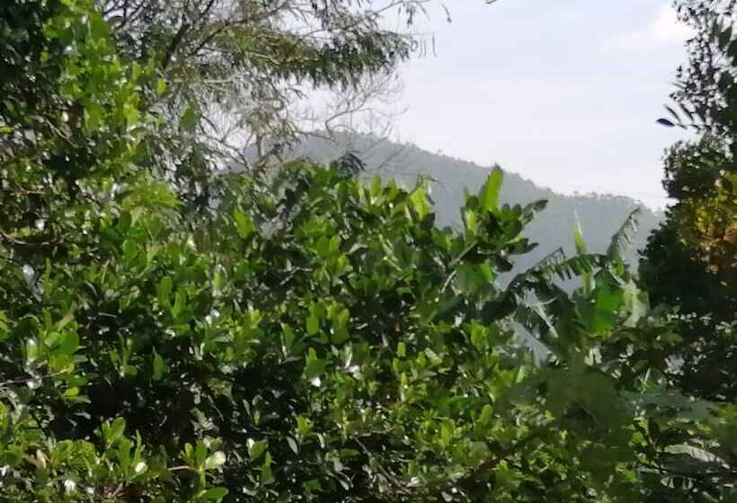 Foret De Vill   Hostel