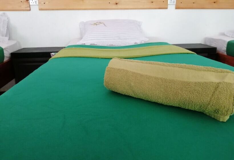 Foret De Vill   Hostel