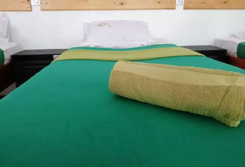 Foret De Vill   Hostel