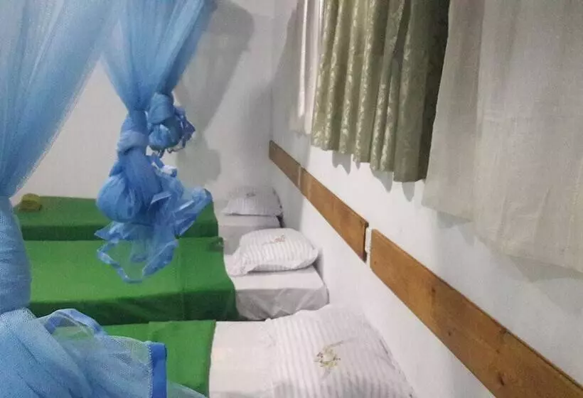 Foret De Vill   Hostel